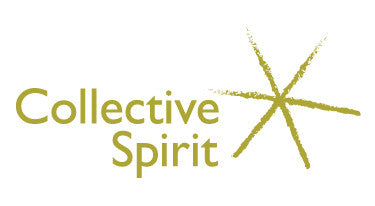 Main photo from the Collective Spirit Free School report